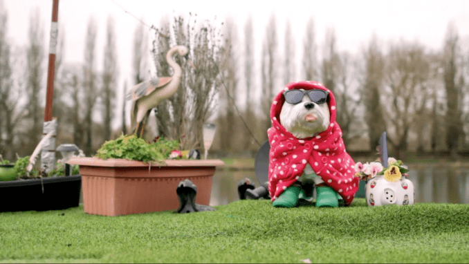 Screen Shot 2018-12-27 at 01.14.29